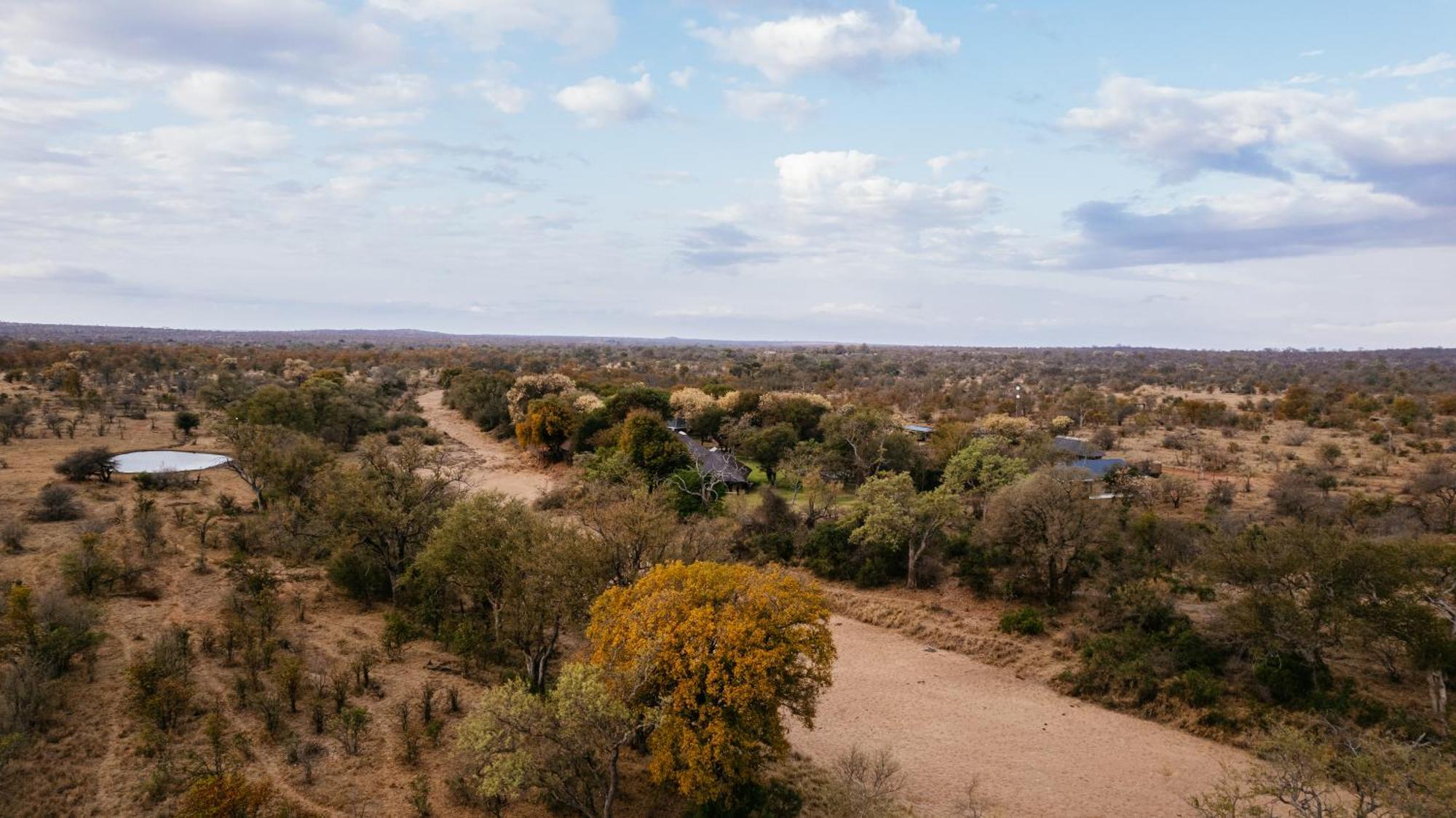 Senalala Safari Lodge privé-wildreservaat Klaserie Buitenkant foto