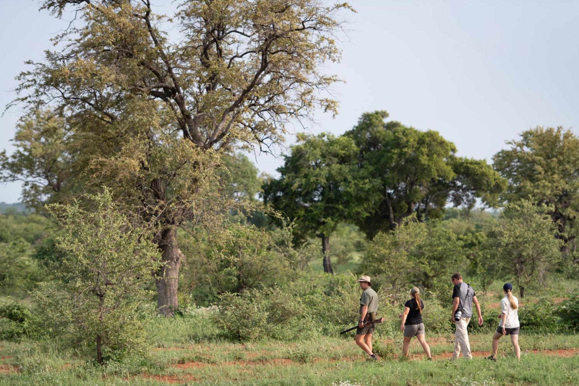 Senalala Safari Lodge privé-wildreservaat Klaserie Buitenkant foto